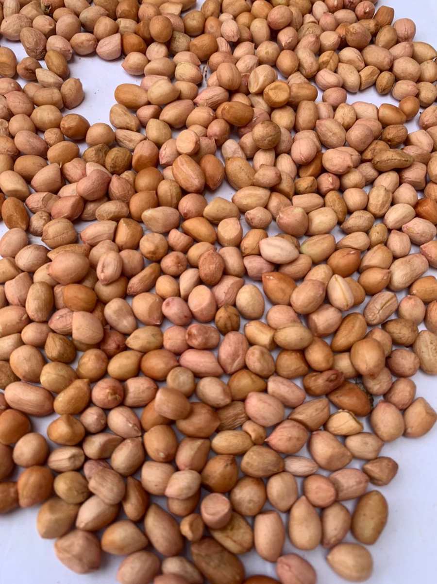 Groundnuts